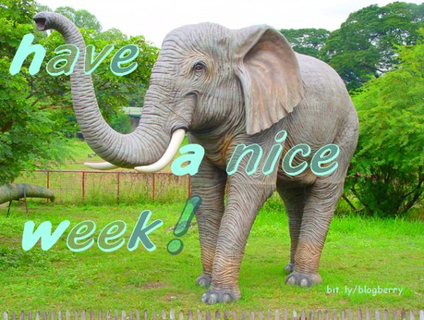 elephant grass card have good fun weekend and nice week green gray
